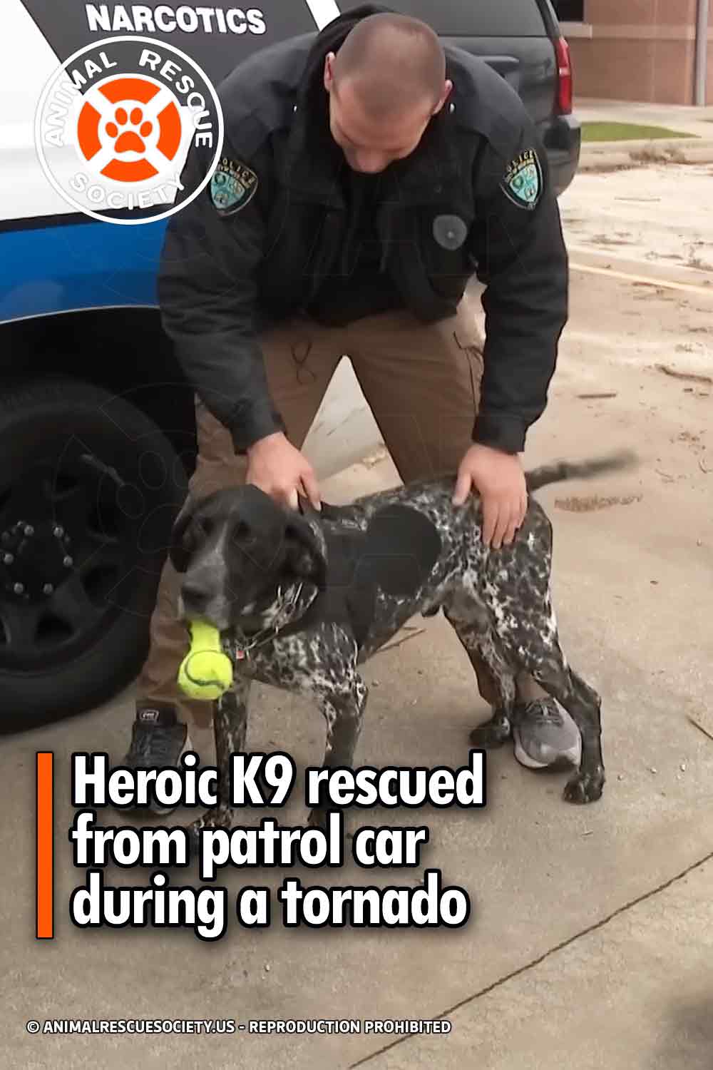 Heroic K9 rescued from patrol car during a tornado