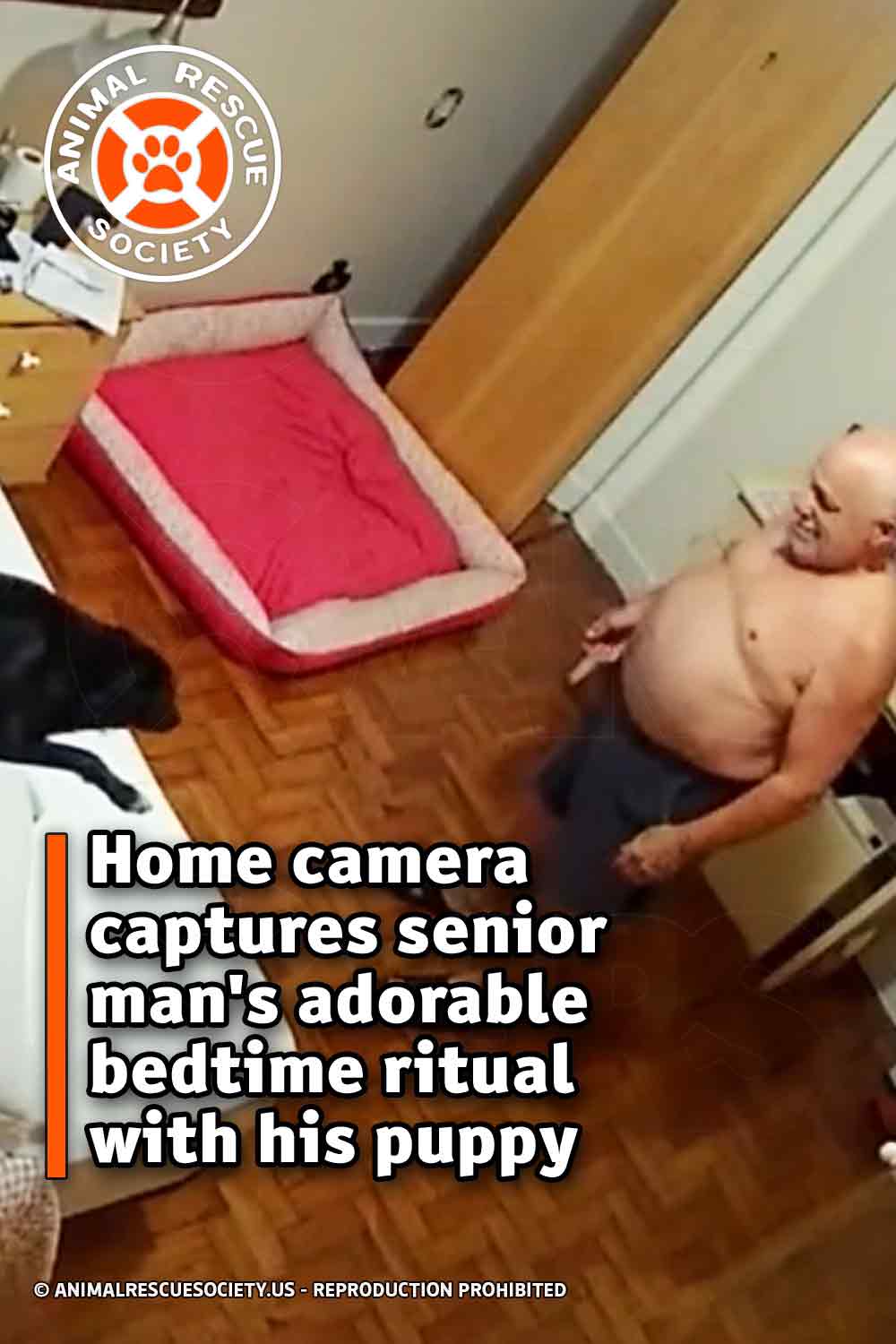 Home camera captures senior man\'s adorable bedtime ritual with his puppy