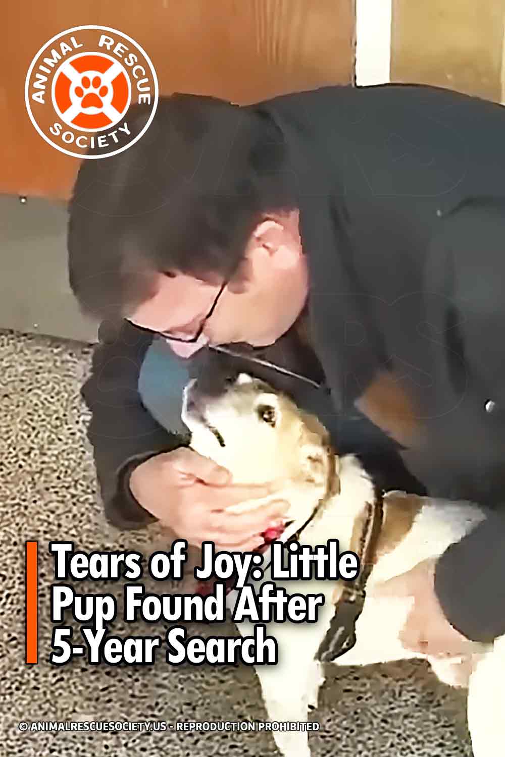 Tears of Joy: Little Pup Found After 5-Year Search