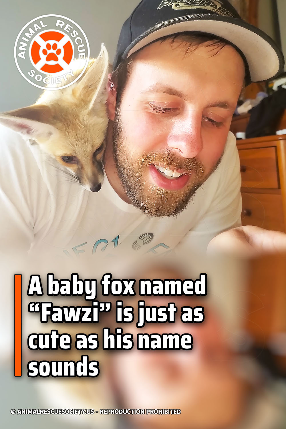 A baby fox named \