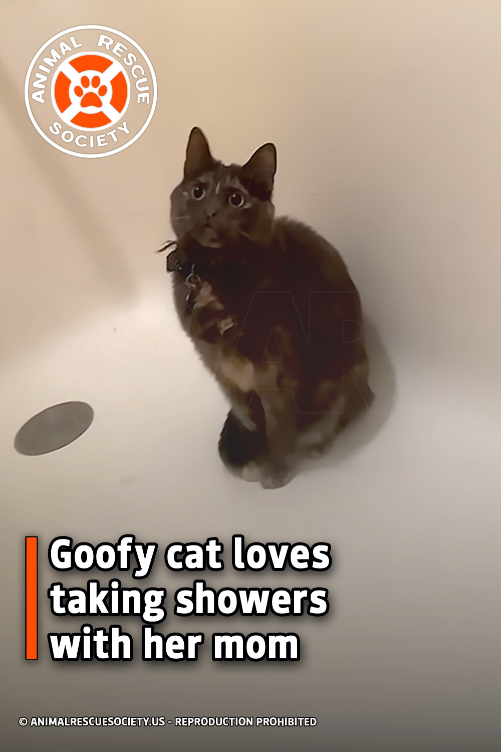 Goofy cat loves taking showers with her mom