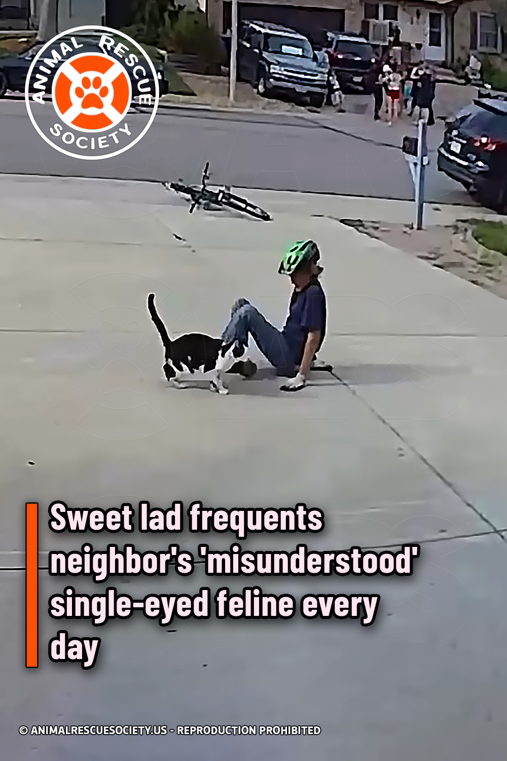 Sweet lad frequents neighbor\'s \'misunderstood\' single-eyed feline every day
