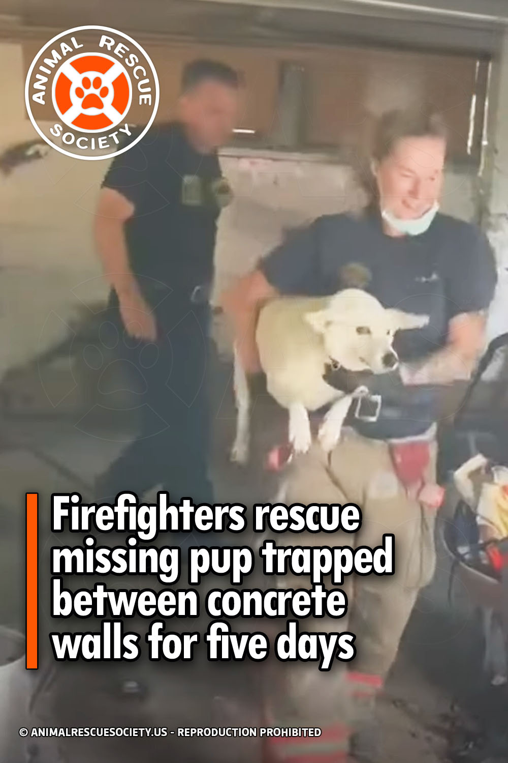 Firefighters rescue missing pup trapped between concrete walls for five days