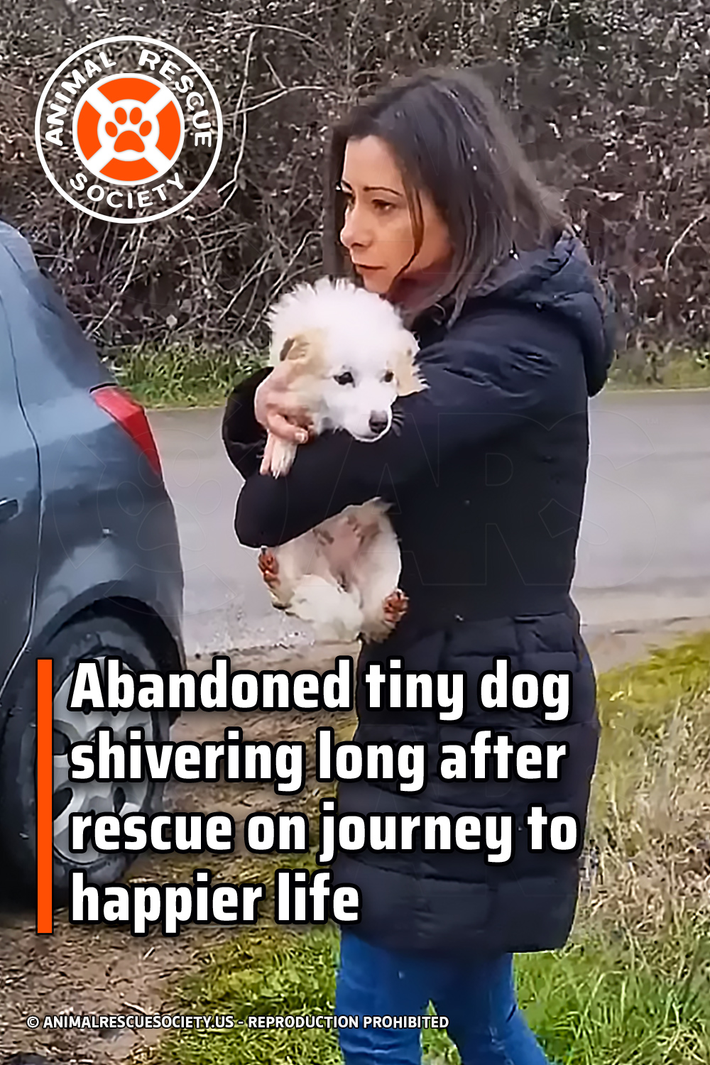 Abandoned tiny dog shivering long after rescue on journey to happier life