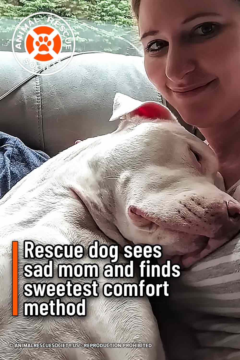 Rescue dog sees sad mom and finds sweetest comfort method