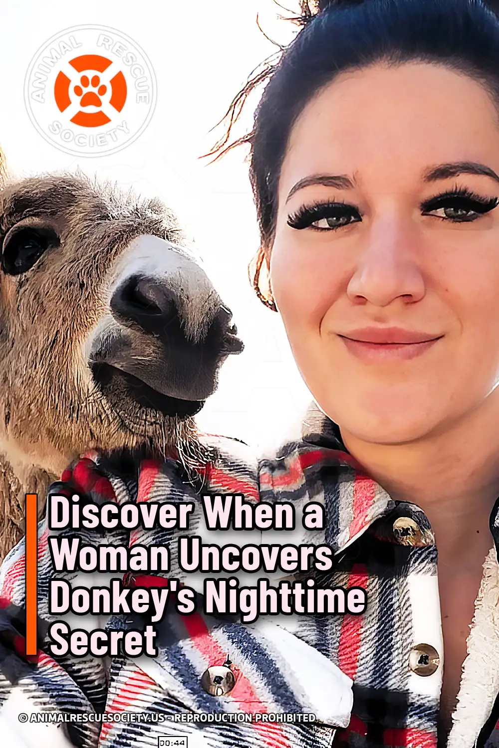 Discover When a Woman Uncovers Donkey\'s Nighttime Secret