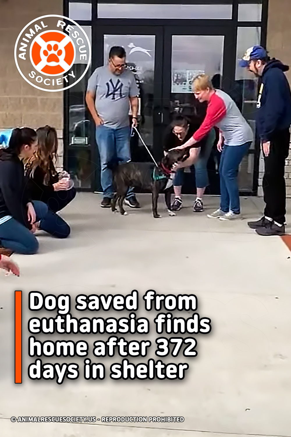 Dog saved from euthanasia finds home after 372 days in shelter