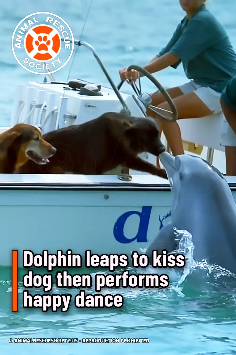 Dolphin leaps to kiss dog then performs happy dance