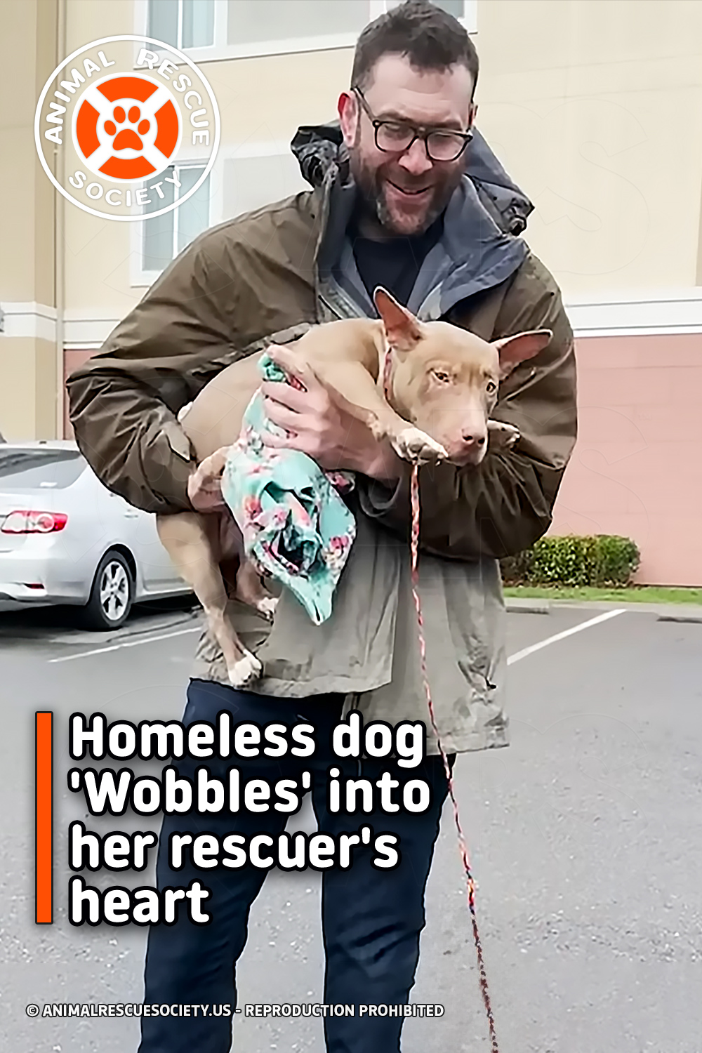 Homeless dog \'Wobbles\' into her rescuer\'s heart