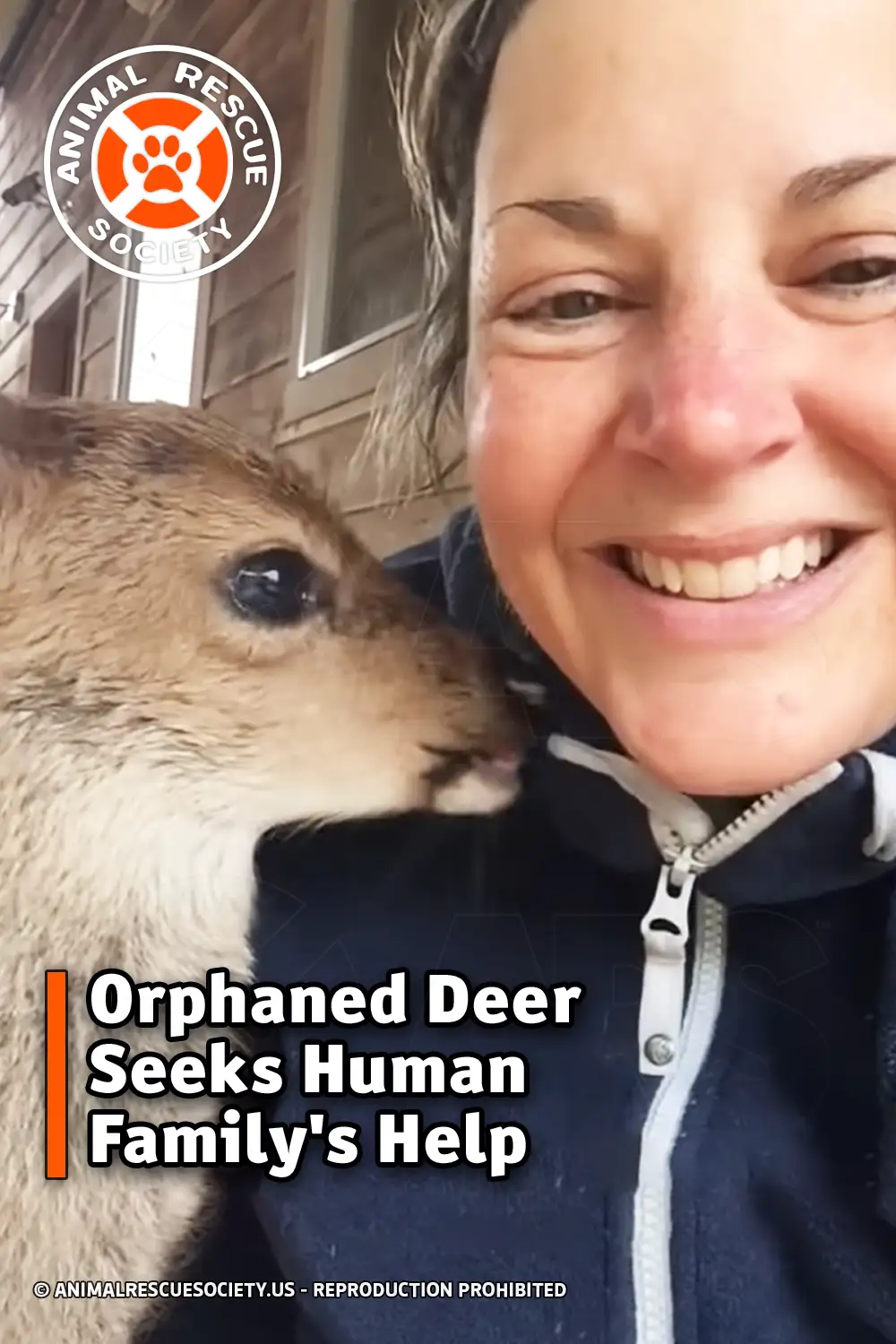 Orphaned Deer Seeks Human Family\'s Help