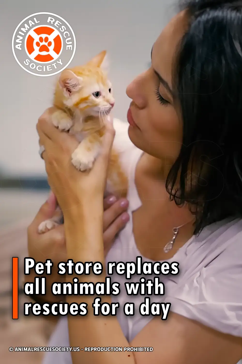 Pet store replaces all animals with rescues for a day